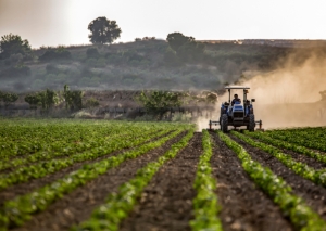 Otvoren treći po redu javni poziv projekta Evropske unije EU4AGRI: 3,5 miliona KM bespovratnih sredstava za podršku investicijama u primarnu poljoprivrednu proizvodnju